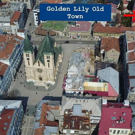 Golden Lily Old Town *
